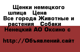 Щенки немецкого шпица › Цена ­ 20 000 - Все города Животные и растения » Собаки   . Ненецкий АО,Оксино с.